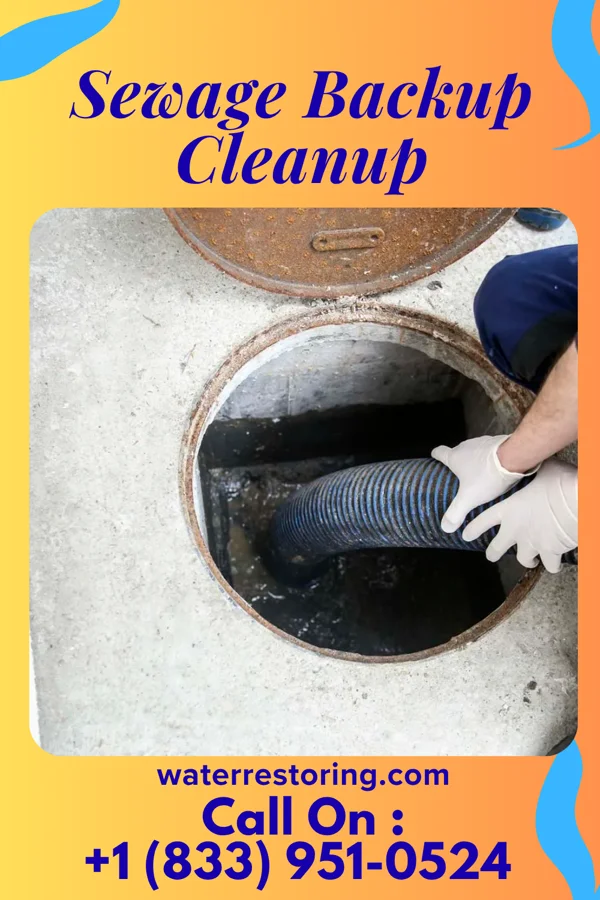 Sewage Backup Cleanup in Copper Canyon, TX